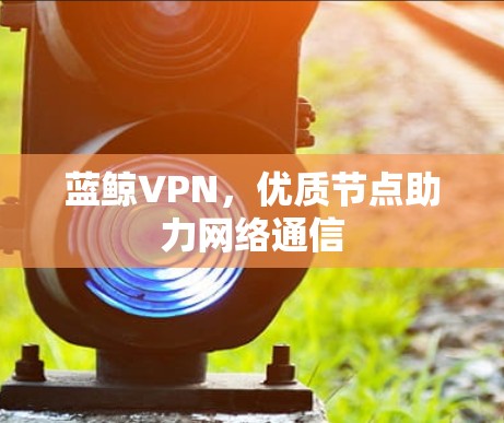 蓝鲸VPN，优质节点助力网络通信