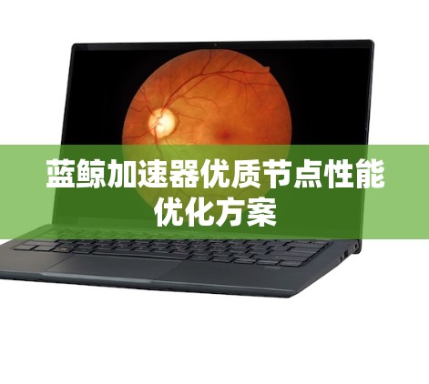 蓝鲸加速器优质节点性能优化方案