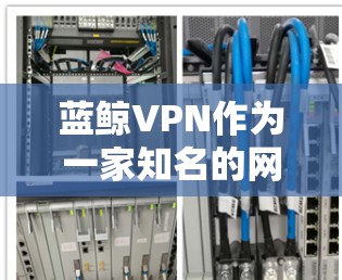 蓝鲸VPN作为一家知名的网络安全和VPN服务提供商，在海外市场的代理合作是一个重要的拓展渠道。以下是一些关于蓝鲸VPN海外代理的分析和建议，供您参考