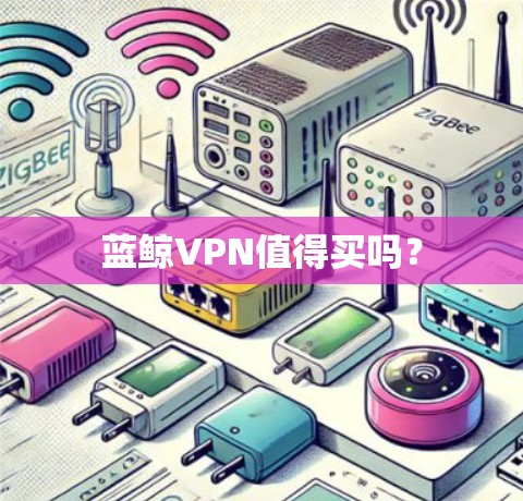 蓝鲸VPN值得买吗？