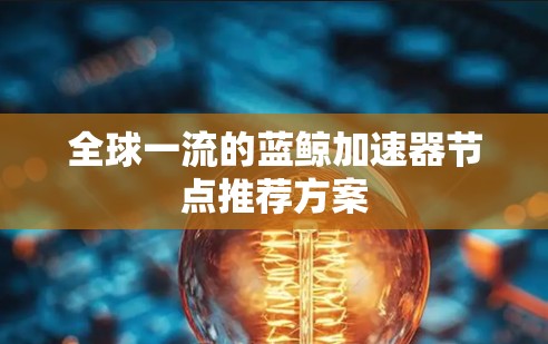 全球一流的蓝鲸加速器节点推荐方案