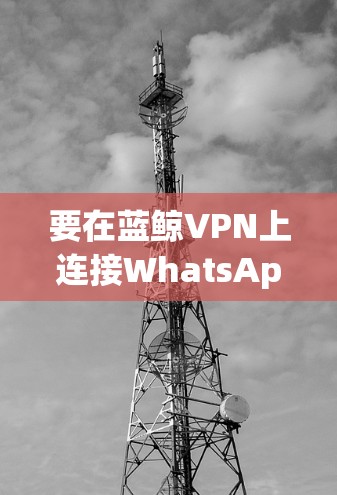 要在蓝鲸VPN上连接WhatsApp，可以按照以下步骤操作