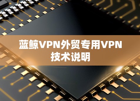 蓝鲸VPN外贸专用VPN技术说明