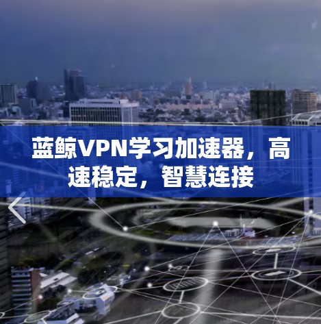 蓝鲸VPN学习加速器，高速稳定，智慧连接