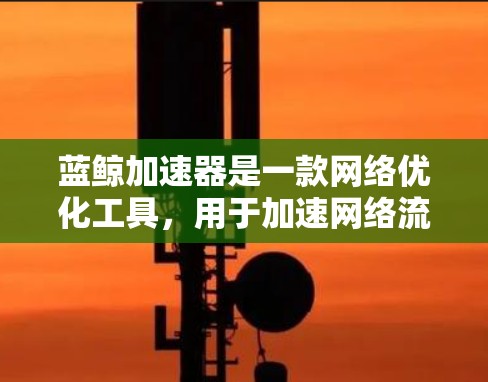 蓝鲸加速器是一款网络优化工具，用于加速网络流量和数据传输。外网浏览则是指通过蓝鲸加速器来访问外部网络资源。如果你需要通过蓝鲸加速器来访问外网，以下是一些可能的步骤和注意事项