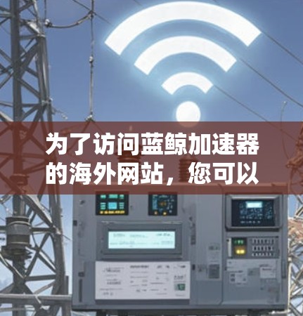 为了访问蓝鲸加速器的海外网站，您可以按照以下步骤进行操作