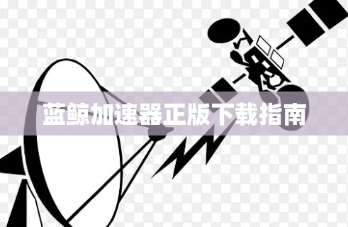 蓝鲸加速器正版下载指南