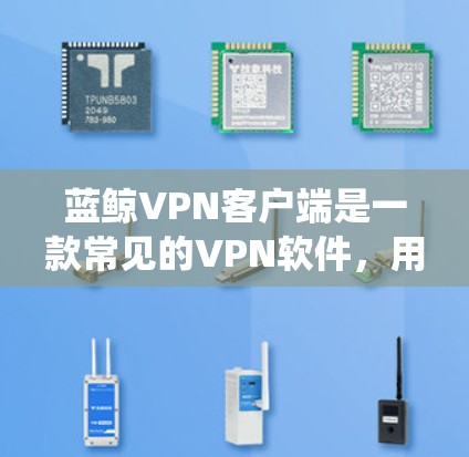 蓝鲸VPN客户端是一款常见的VPN软件，用于帮助用户绕过网络限制，访问受限的网站或保护隐私。以下是关于蓝鲸VPN客户端的一些信息和使用方法
