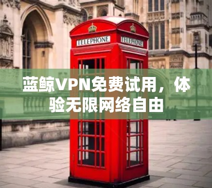 蓝鲸VPN免费试用，体验无限网络自由