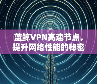 蓝鲸VPN高速节点，提升网络性能的秘密武器