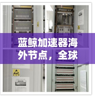 蓝鲸加速器海外节点，全球网络性能的新突破